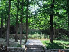 -阳台山自然风景区