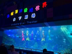 -泉城欧乐堡海洋极地世界