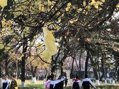 -辽宁省实验中学
