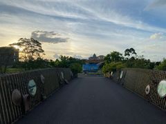 -江门古劳水乡旅游区
