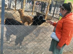 -长白岛森林公园