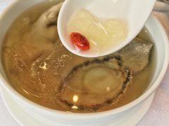 天山雪莲炖鲜鲍-洋房汤馆
