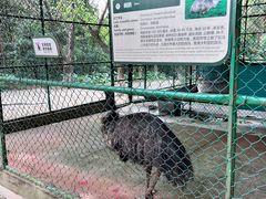 -三水森林公园