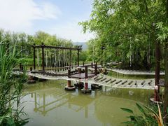 -长兴太湖图影湿地文化园