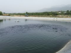 -马楼鱼庄(蓝田)