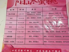 -老袁家蜜桃农场·阳山水蜜桃