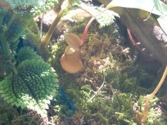 -北京植物园-展览温室