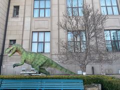 -国家自然博物馆