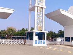 -日照海滨国家森林公园