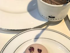 -BLACKSWAN黑天鹅(环球店)