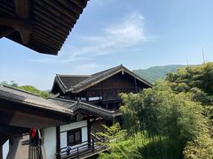 -大唐贡茶院