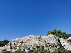 -北京西山国家森林公园