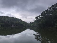-广州市石门国家森林公园