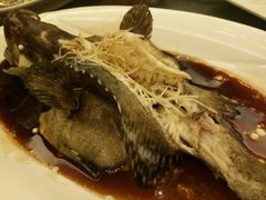 清蒸多宝鱼-国惠大酒楼(仓山万达店)