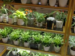 自助取餐区-茶马花街(城西银泰城店)