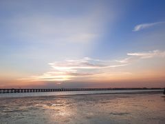 -宝安西湾红树林湿地公园