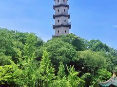 -江心屿景区