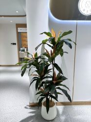 -康美贞·痘肌养护管理中心