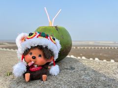 -南汇嘴观海公园