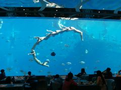 -瑞德姆美人鱼海底演艺主题餐厅(亚龙湾店)