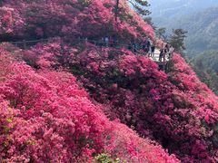 -木兰云雾山