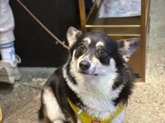 -阿嬷手作(成都万象城店)