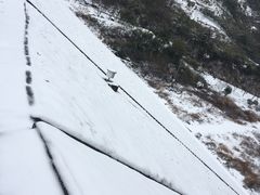 -东天目山风景区