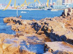 -小麦岛公园