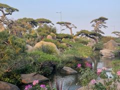 -罗红摄影艺术馆