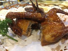红烧乳鸽-一煲鸽