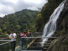 -九龙江国家森林公园