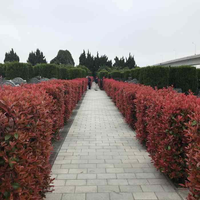 上海华南公墓管理有限公司-"环境优美,管理不错,人车较多.
