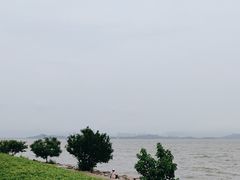 -深圳湾公园(南山区)