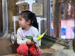-正佳雨林生态植物园
