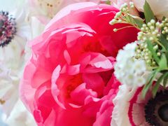 -梵克雅宝(国贸商城店)