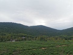 -九龙潭景区
