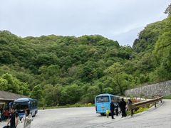 -牛背梁国家森林公园