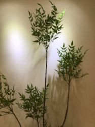 -FUMEIHUI·科技美肤·美体SPA