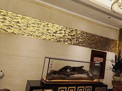-正晴和酒店(黑龙江路店)