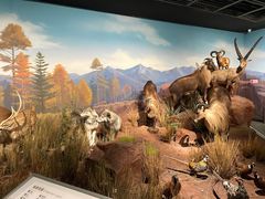 -陕西自然博物馆