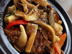 双菇面筋煲-胡子饮食店