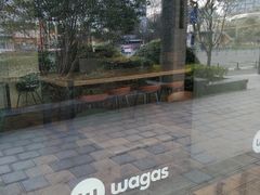 -Wagas沃歌斯(正大乐城店)