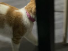 -饶妈长寿米粉(东和春天店)