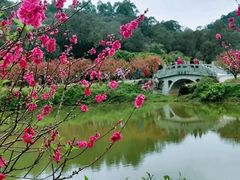 -南国桃园旅游度假区