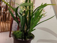 -成都杜甫草堂博物馆