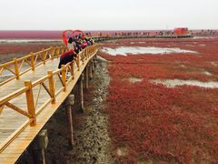 -红海滩国家风景廊道