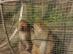 -石家庄市动物园