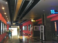 -万达影城(锦华万达广场IMAX店)