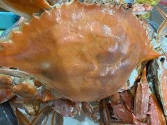 -柒柒海里·平价海鲜·蒸汽·家宴(金沙滩店)