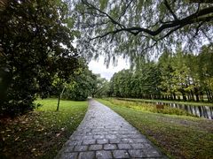 -上海共青森林公园